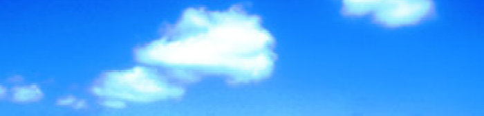 11-29-09017004.jpg