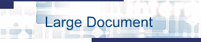 Large Document